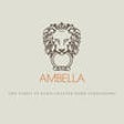 Icon of program: Ambella Home Catalog and …