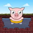 Icon of program: Tumble Pig