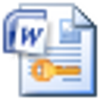 Icon of program: BitChip MS Word Password …