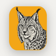 Icono de programa: LightCraft