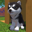 Icono de programa: Cute Pocket Puppy 3D - Pa…