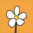 Icon of program: Homeopathy at Home