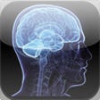 Icon of program: Brain Test free memory ga…