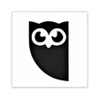 Icono de programa: HootSuite for Chrome