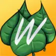 Icon of program: WordSwat - 1st Grade and …