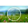 Icon of program: Flowers & Meadows- Premiu…