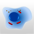 Icon of program: Cell Biology 101