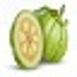 Icon of program: Weight-Loss and Fitness