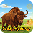 Icon of program: Crazy Pyaung
