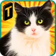 Icon of program: Street Cat Sim 2016