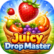 Icono de programa: Juicy Drop Master