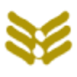 Icon of program: Learn German