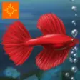 Icon of program: Fish Tycoon for iPad
