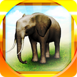 Icono de programa: REAL ANIMALS HD (Full)