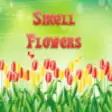 Icon of program: Smell Flowers