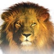 Icon of program: SHOFAR app
