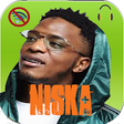 Icono de programa: TOP NISKA 2019