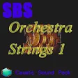 Icon of program: Orchestra Strings 1