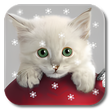 Icono de programa: Xmas Cat Live Wallpaper