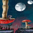 Icon of program: Medulla
