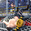 Icono de programa: Wrestling Cage Revolution…
