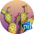 Icon of program: PI VR Wildlife Wonders
