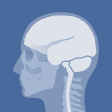 Icon of program: 3D Skull Atlas