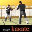 Icon of program: touch Karate (Universal)