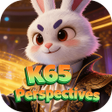 Icon of program: K65 Perspectives
