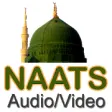 Icon of program: Naats Download