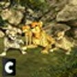 Icono de programa: Cheetah Attack Sim