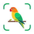 Icon of program: BirdAiSnap-Bird Identify