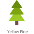 Icon of program: Yellow Pine Music Festiva…
