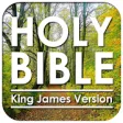 Icon of program: KJV Bible: Free Offline B…