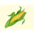 Icon of program: Corn Stickers