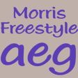 Icon of program: Morris Freestyle FlipFont