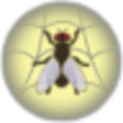 Icon of program: WebLight