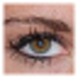 Icon of program: mrViewer