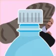 Icon of program: Bottle Cap Challenge 2019