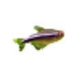 Icon of program: Nyagua for Linux