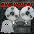 Icon of program: EVP VOICES 2020