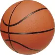 Icon of program: Basketball Throw!