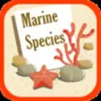 Icon of program: Marine Species of World