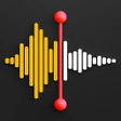 Icon of program: Record Audio Voice App
