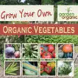 Icon of program: Grow Your Own Organic Veg…