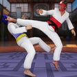 Icon of program: Taekwondo Fights 2020: Ma…