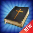 Icon of program: Holy Bible - Daily Backgr…