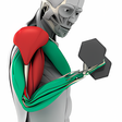 Icon of program: MuscleMatics