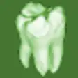 Icon of program: Sante Dental CT Free