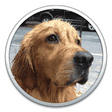 Icon of program: Bark